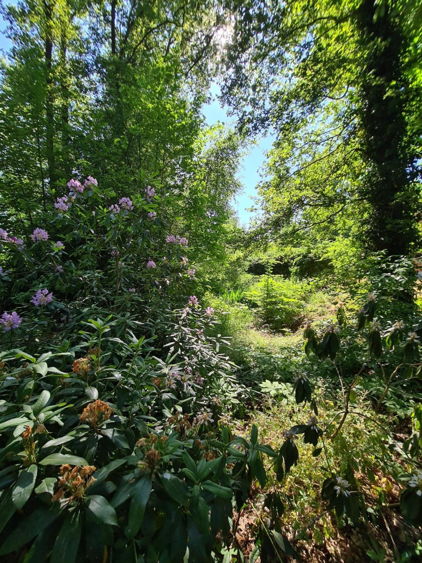 Bed and Breakfast Landgoed De Lavei Weleveld Exteriér fotografie