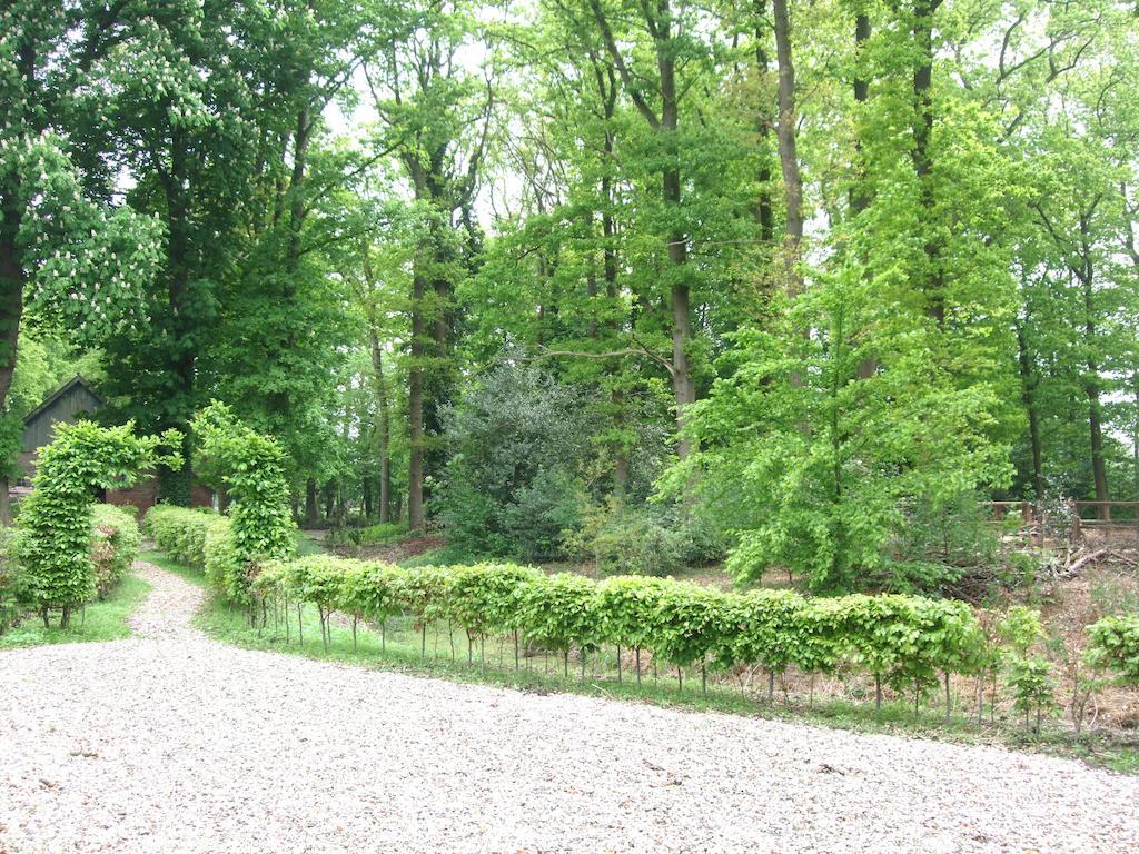 Bed and Breakfast Landgoed De Lavei Weleveld Exteriér fotografie